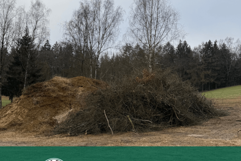 Ein großer Haufen aus Erde und Zweigen liegt auf einer Wiese vor einer Reihe von kahlen Bäumen. Unten ist ein grüner Balken mit dem Logo des Golf-Clubs Feldafing und dem Text "Was macht unser Greenkeeping?".
