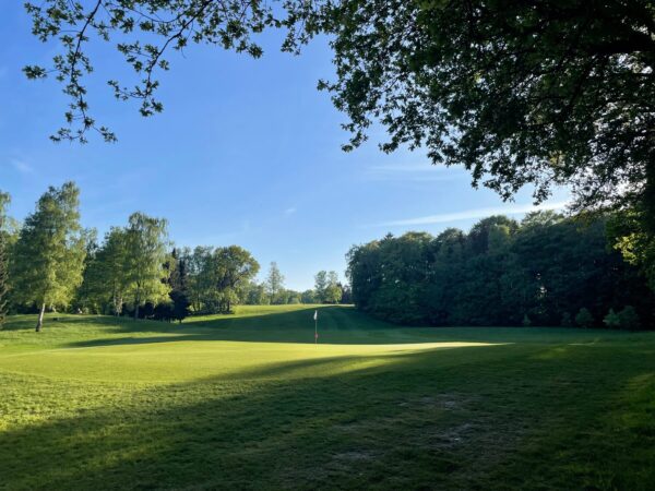 Frühling Im Golf Club Hoisdorf (39) Eine weitläufige grüne Wiese mit einem Golfloch und Fahne in der Mitte. Umgeben von einem dichten Wald und Bäumen, die Schatten auf das Gelände werfen. Der Himmel ist klar und blau.