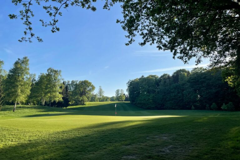 Eine weitläufige grüne Wiese mit einem Golfloch und Fahne in der Mitte. Umgeben von einem dichten Wald und Bäumen, die Schatten auf das Gelände werfen. Der Himmel ist klar und blau.