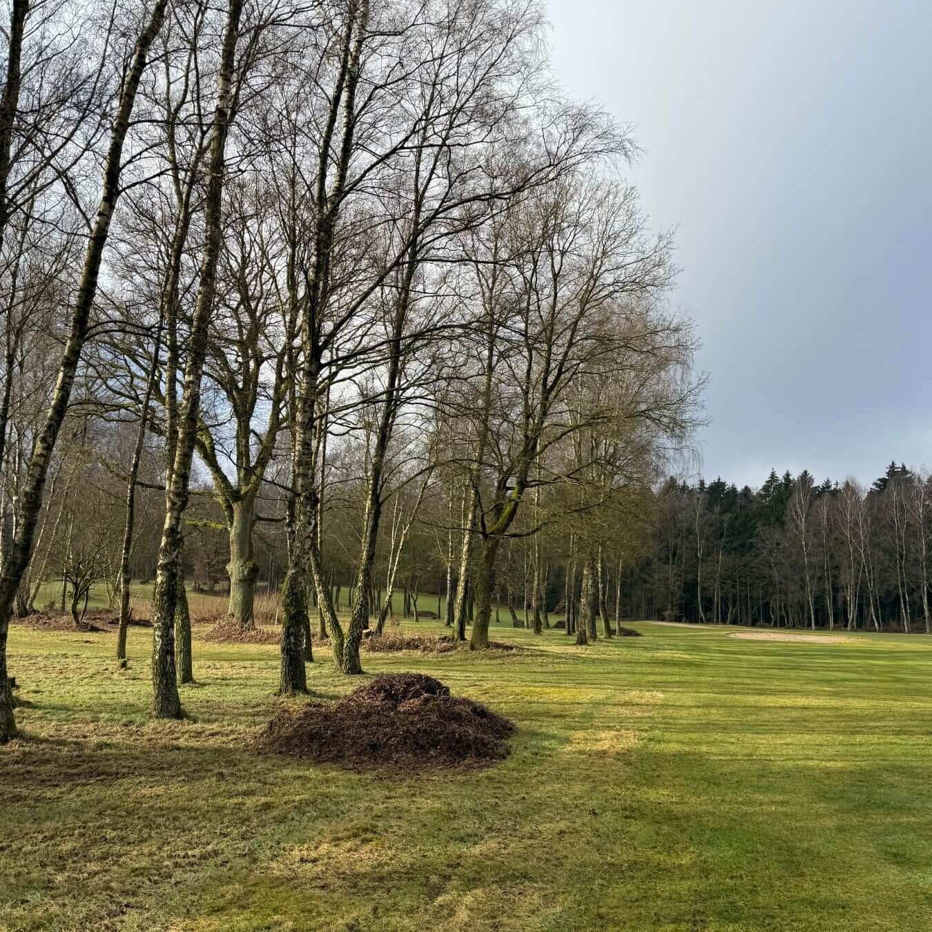 GC Hoisdorf aufgeräumte Roughs