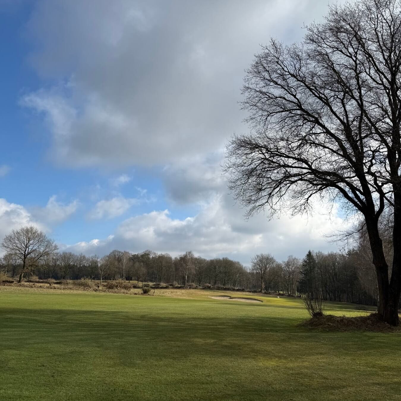 GC Hoisdrof Bahn 17 frühlingsfit