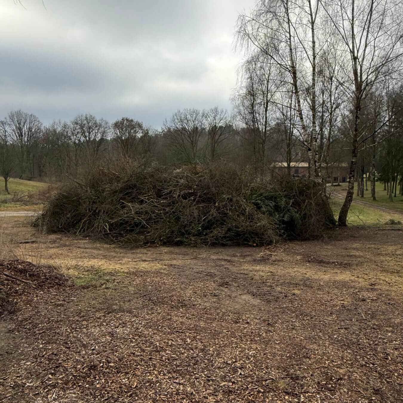 GC Hoisdorf_Äste auf dem Betriebshof