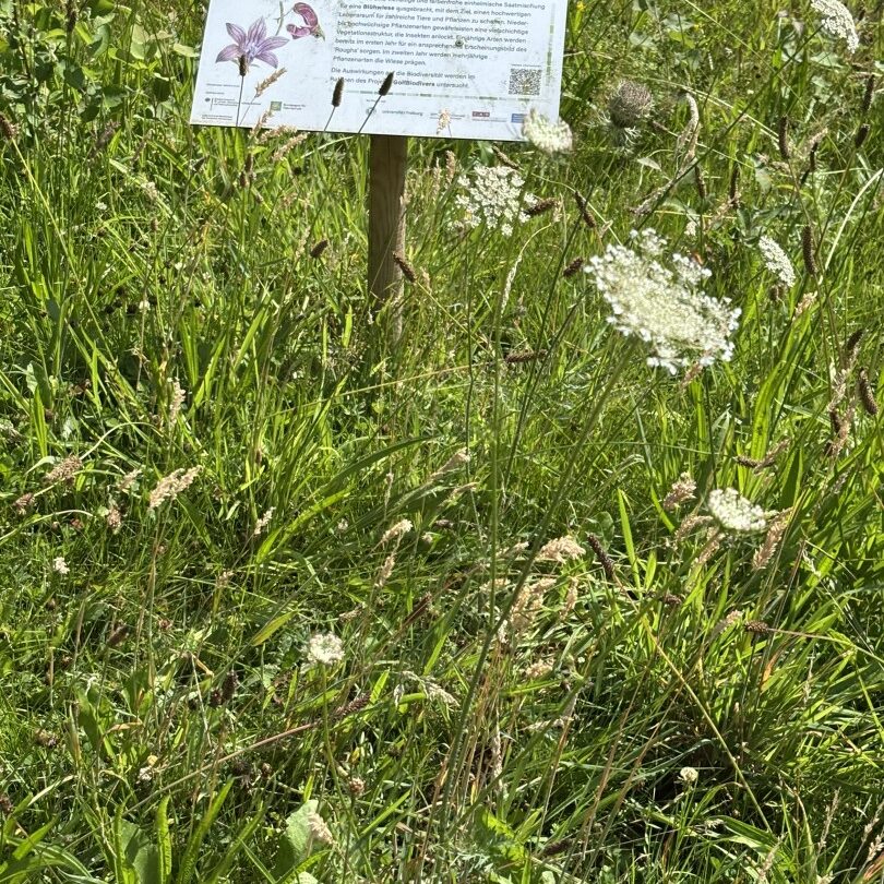 GolfBiodivers Vernetzungsveranstaltung im GC Hoisdorf