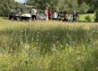 GolfBiodivers Vernetzungsveranstaltung im GC Hoisdorf