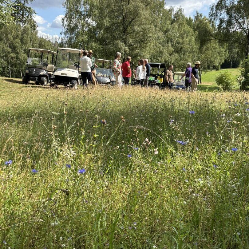 GolfBiodivers Vernetzungsveranstaltung im GC Hoisdorf