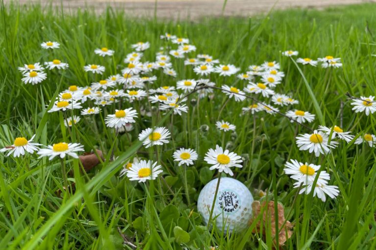 Golfball Golf-Club Hoisdorf