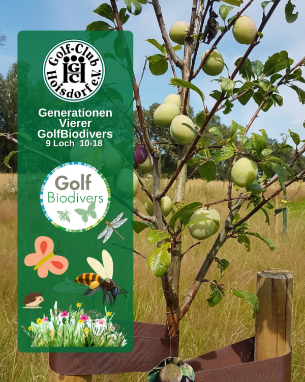 Titelbild Generationenturnier GolfBiodivers