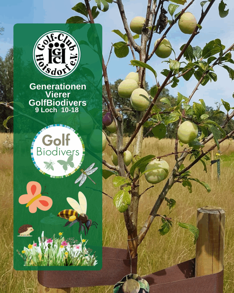 Titelbild Generationenturnier GolfBiodivers