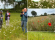 Collage GolfBiodivers Blühflächen Begutachtung