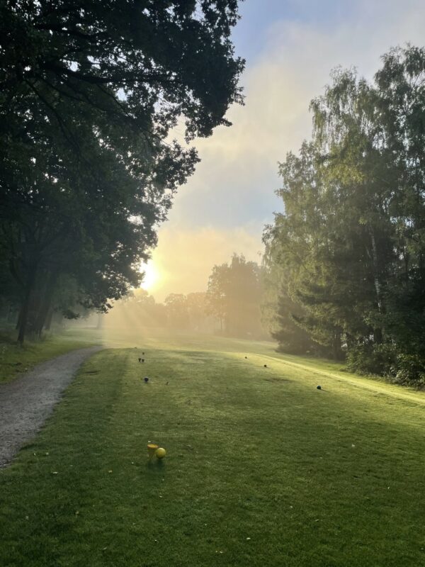 Morgennebel Bahn 18 Golf Club Hoisdorf Ein schmaler, grasbewachsener Weg verläuft durch einen Park. Links und rechts stehen hohe Bäume. Im Hintergrund scheint die Sonne durch den morgendlichen Nebel, wodurch der Himmel in einem sanften Orange leuchtet.