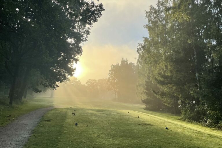 Ein schmaler, grasbewachsener Weg verläuft durch einen Park. Links und rechts stehen hohe Bäume. Im Hintergrund scheint die Sonne durch den morgendlichen Nebel, wodurch der Himmel in einem sanften Orange leuchtet.
